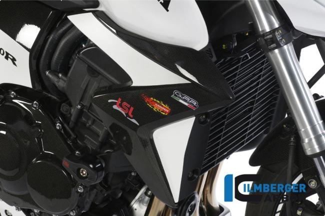 Wasserkühlerverkleidung rechts Carbon