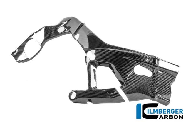 Rahmenschützer rechts Carbon glanz M 1000 RR Racing (ab 2025)