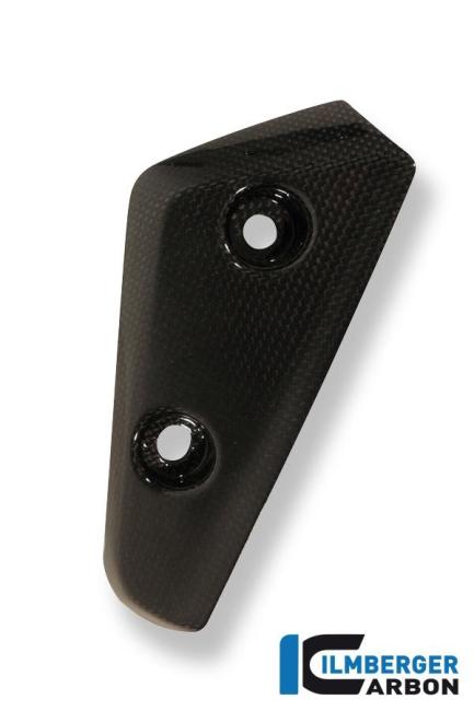 Flap am Kotflügel vorne links Carbon