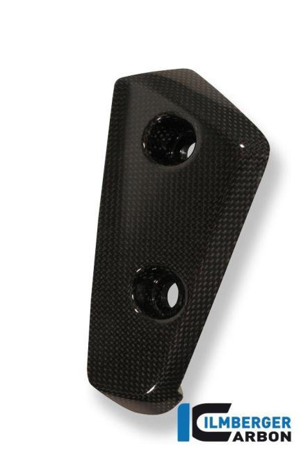 Flap on front right fender carbon