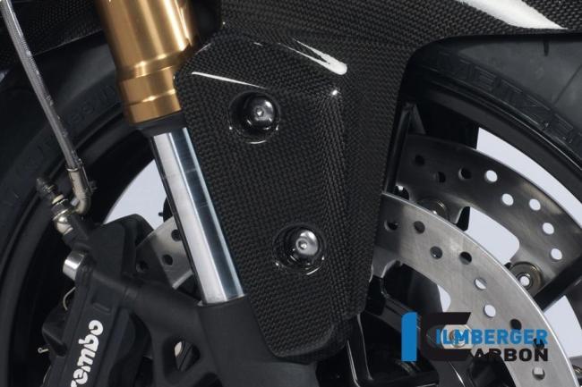 Flap on front right fender carbon