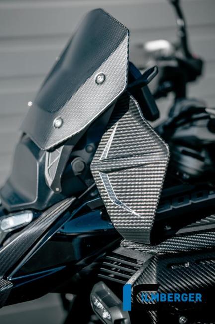 Windabweiser links Carbon matt R 1300 GS Adventure