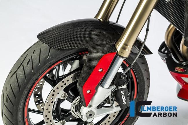 Kotflügel vorne Carbon BMW R 1200 R