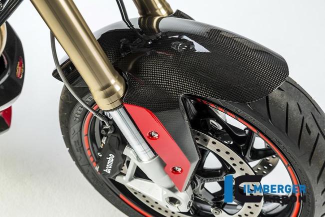 Kotflügel vorne Carbon BMW R 1200 R