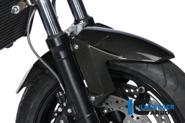 Kotflügel vorne Carbon BMW F 800 R