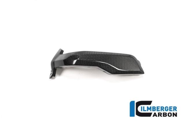 Spark Plug Cover left Side Carbon - BMW R 1200 GS (LC) from 2013 to 2015