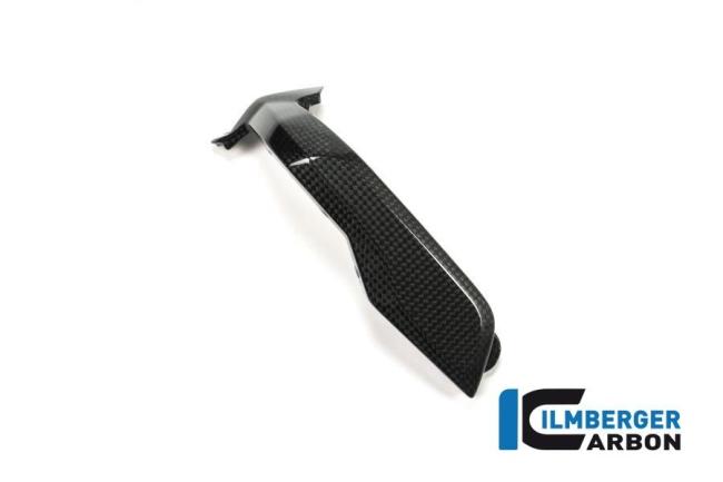 Spark Plug Cover left Side Carbon - BMW R 1200 GS (LC) from 2013 to 2015