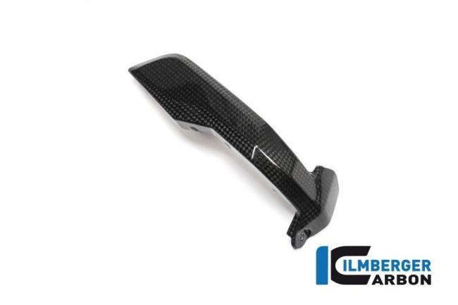 Spark Plug Cover right Side Carbon - BMW R 1200 GS (LC) from 2013 to 2015