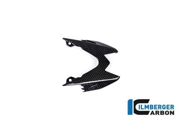 Rear upper tail fairing (taillight cover) Carbon
