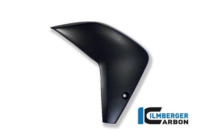Flap on fairing side panel left carbon
