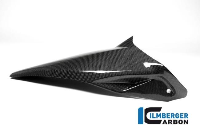 Kotflügel hinten lange Version Carbon Ducati Monster 1200 / 1200 S glänzende Oberfläche