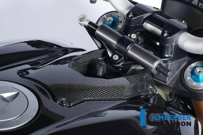 Zündschlossabdeckung Carbon