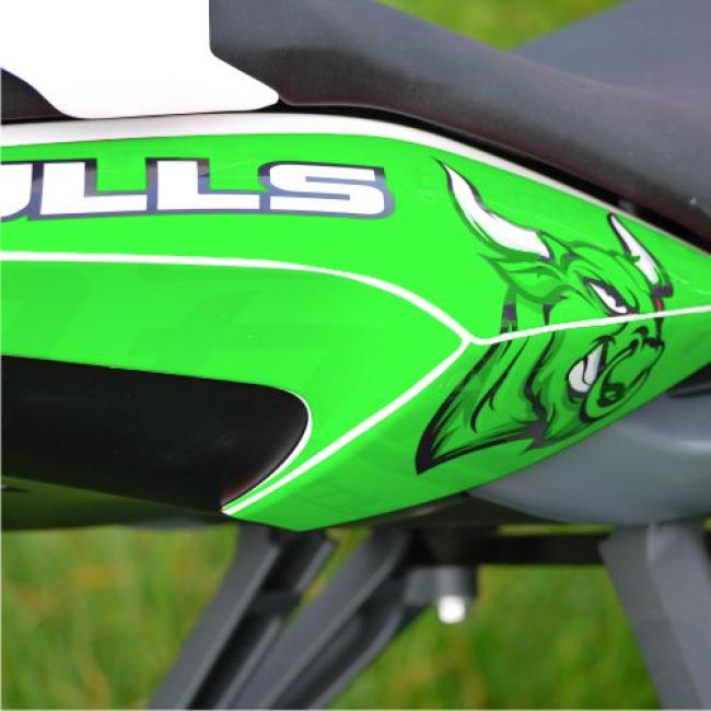 TRIUMPH Streettriple 13-17 Dekor Stickerkit "BULLS - Green"